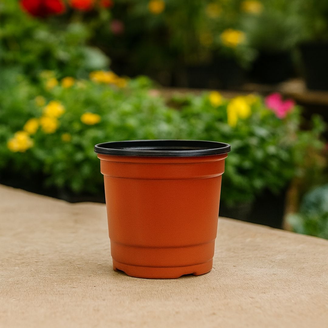 MACETA CARLUCCIO REDONDA BICOLOR UV .9A N/T (320CC) *UNID