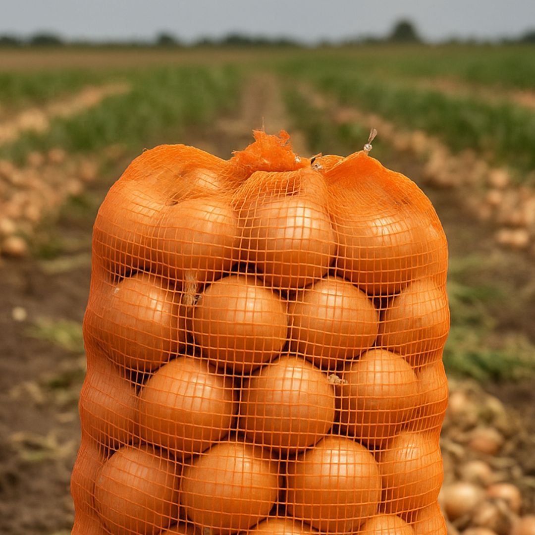 BOLSA AGRO RAFIA NARANJA 42*68CM (REJILLA) *UNID