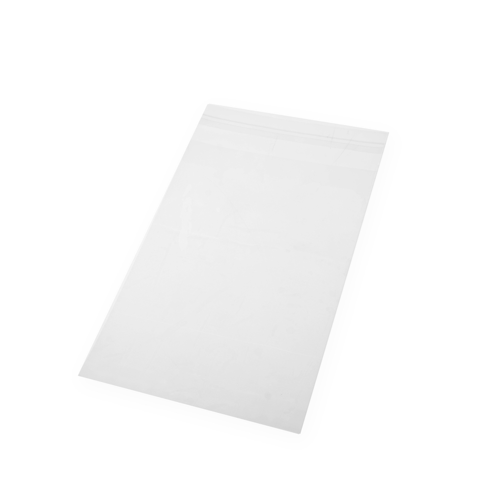 BOLSAS POLIPROPILENO.CON ADHESIVO.25*35CM*100UNID