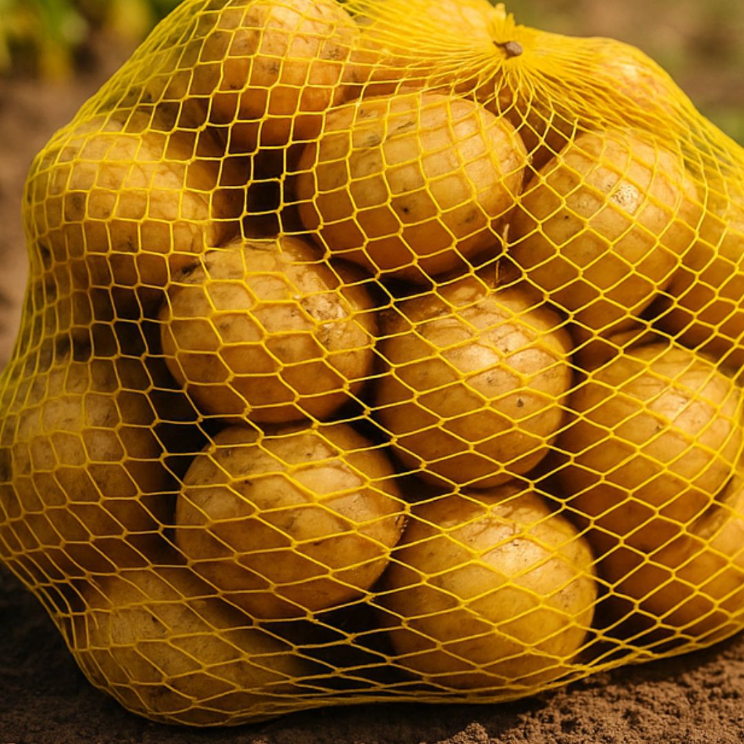 RED TUBULAR RAFIA AMARILLA ROLLO (164MTS *KG) (30CM DIAM.) *KG