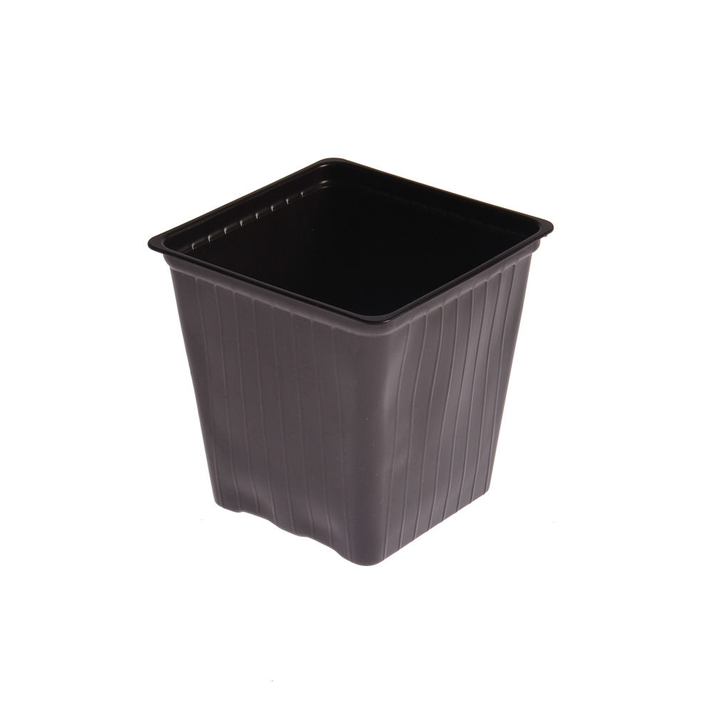 MACETA CARLUCCIO CUADRADA NEGRA PP UV 9.7*9.7CM (600CC) *UNID