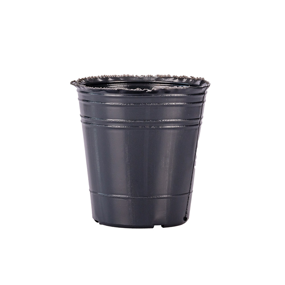 MACETA SOPLADA .N°10 (300CC) (9.5CM DIAM* 9.5CM ALTO) *UNID