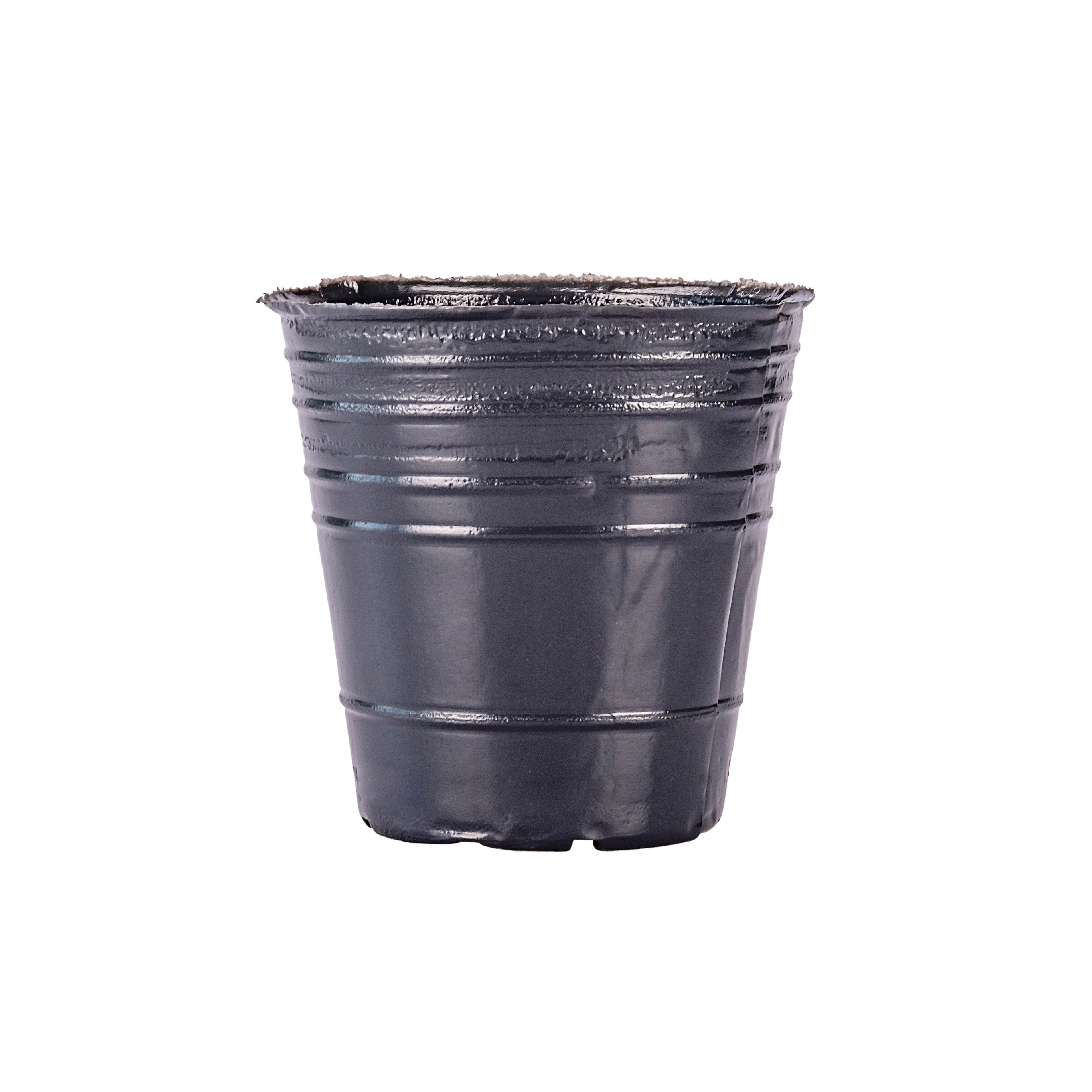 MACETA SOPLADA .N°12 (500CC) (11.2CM DIAM*11.5CM ALTO) *UNID