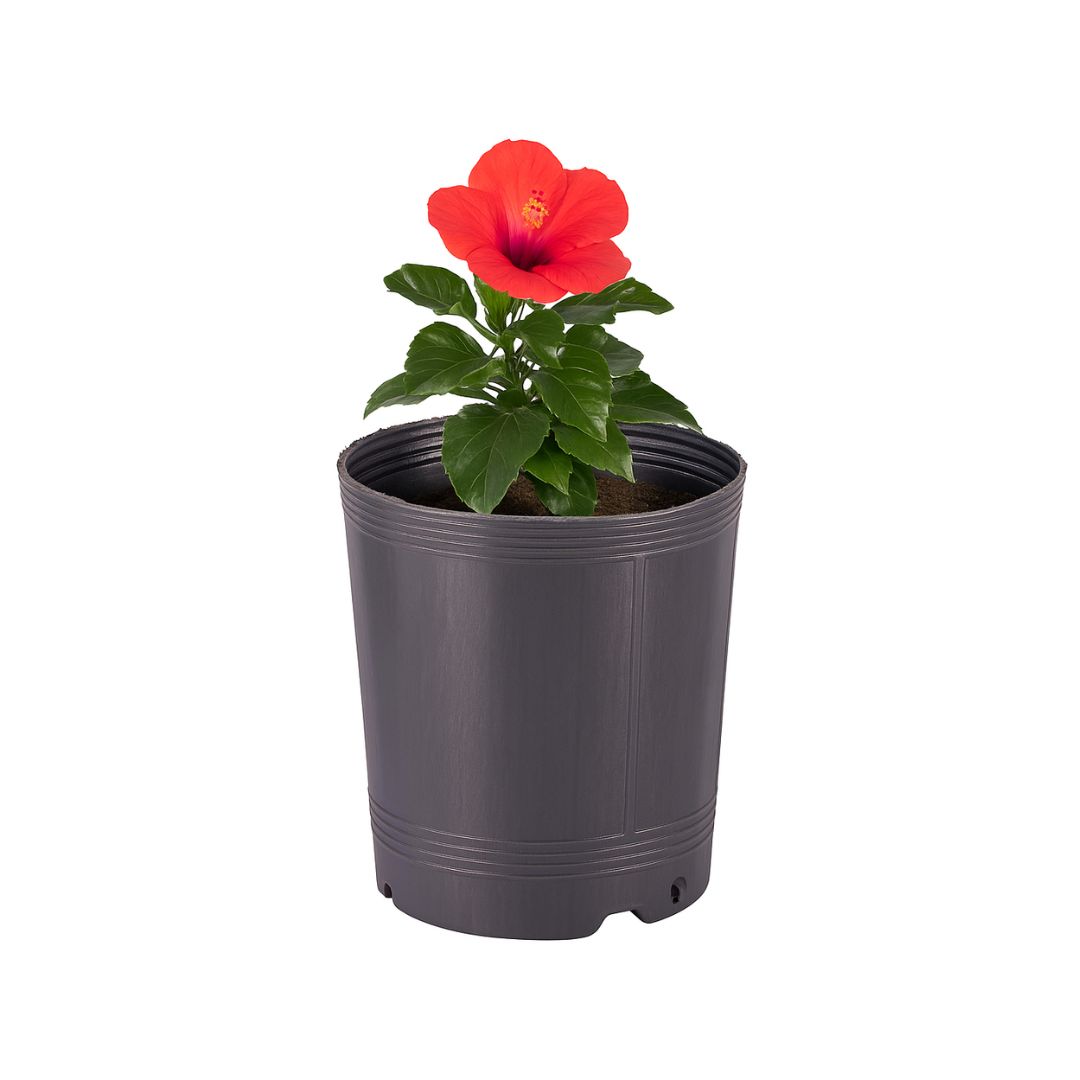 MACETA SOPLADA.10 LTS (24CM DIAM*29CM ALTO) *UNID