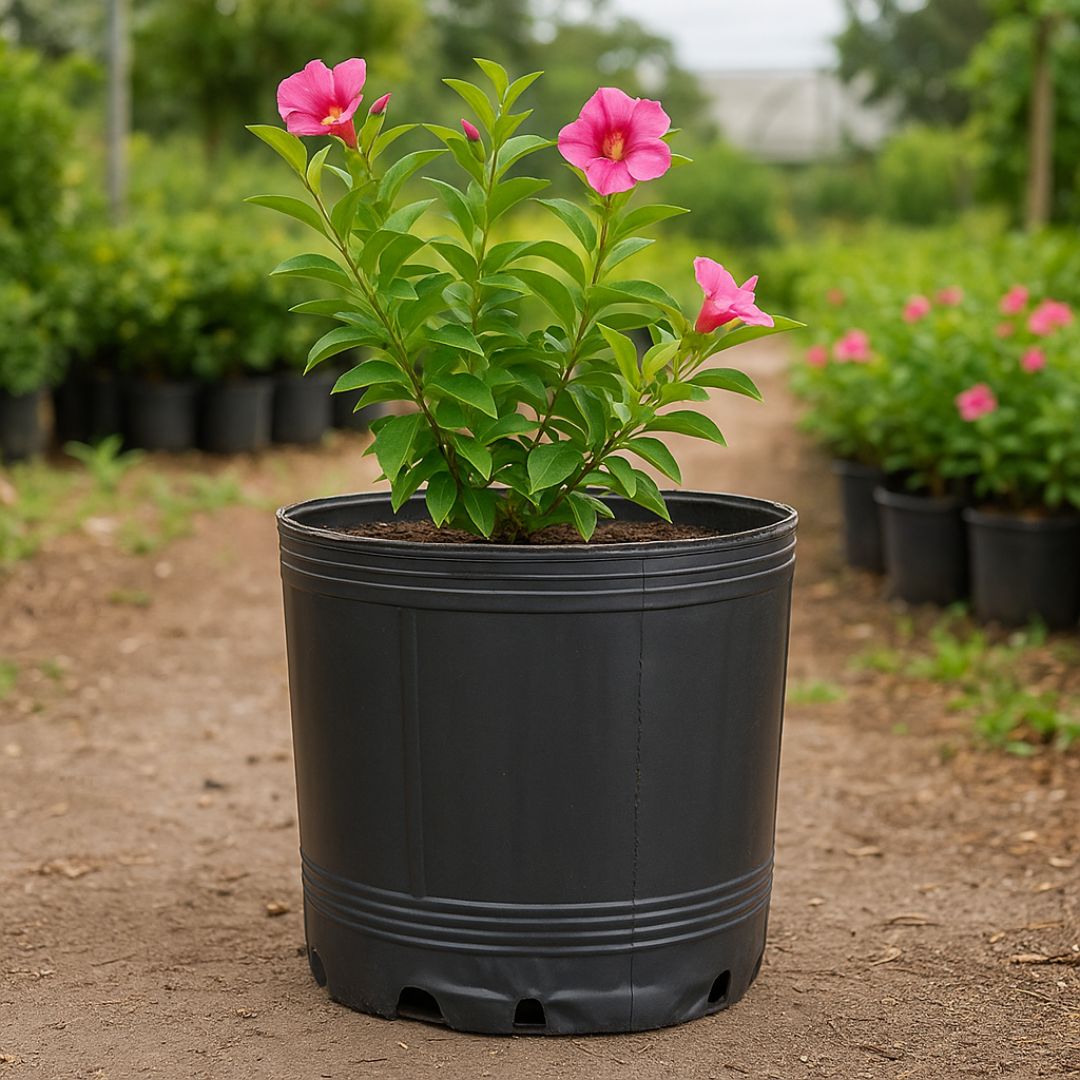 MACETA SOPLADA.15 LTS (28CM DIAM*30CM ALTO) *UNID