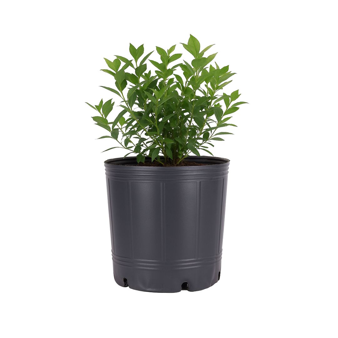 MACETA SOPLADA.15 LTS (28CM DIAM*30CM ALTO) *UNID