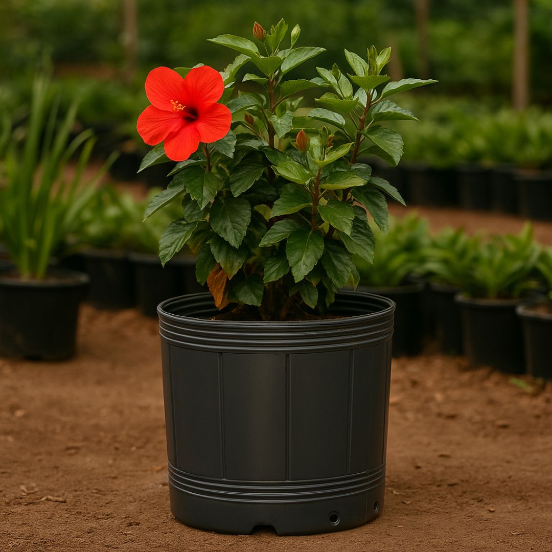 MACETA SOPLADA.23 LTS (30CM DIAM*38CM ALTO) *UNID