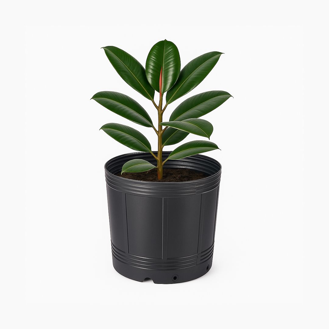 MACETA SOPLADA.23 LTS (30CM DIAM*38CM ALTO) *UNID