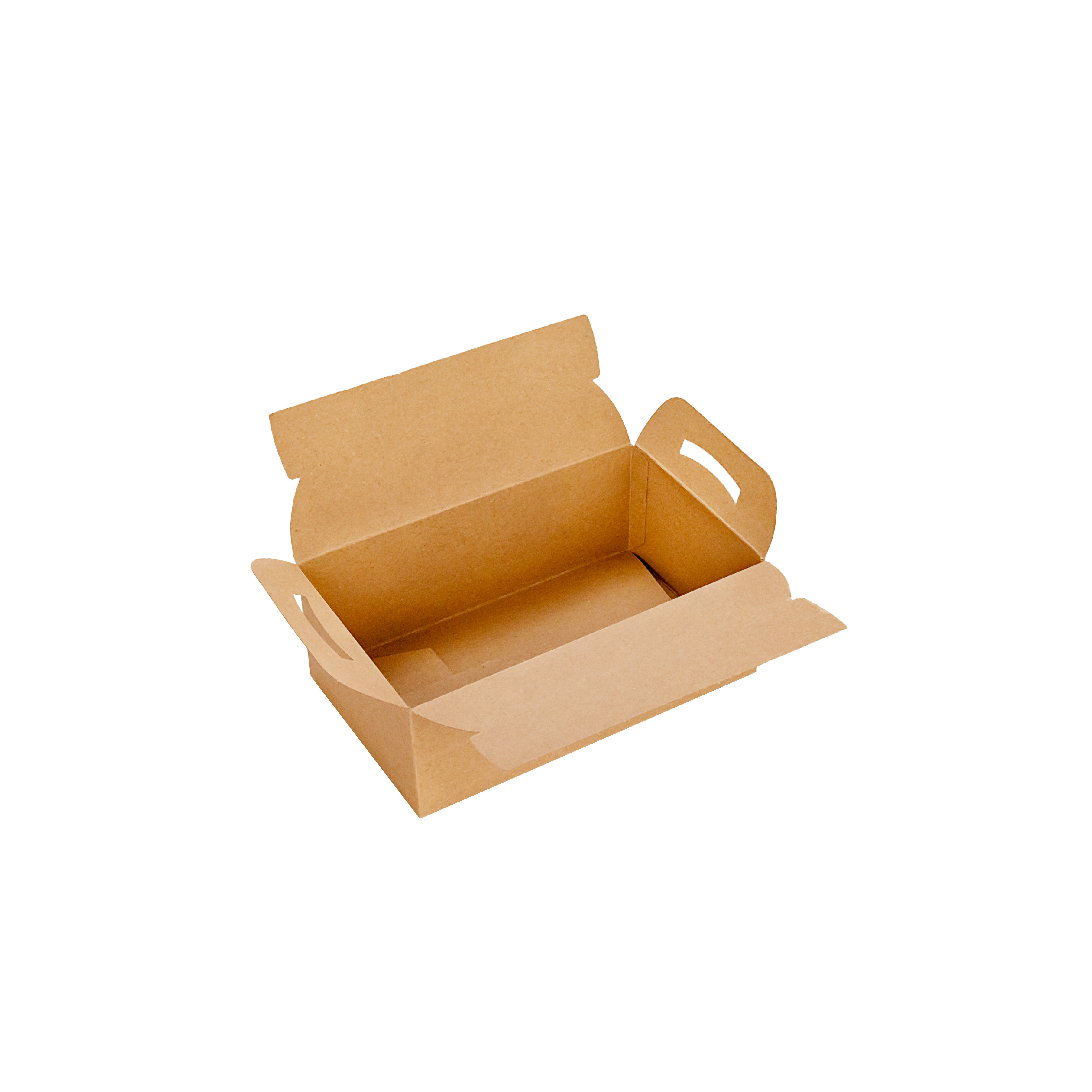 CAJA DELIVERY BIOHZ 1 COMBO (20.5*12.5*7.5CM) *300UNID
