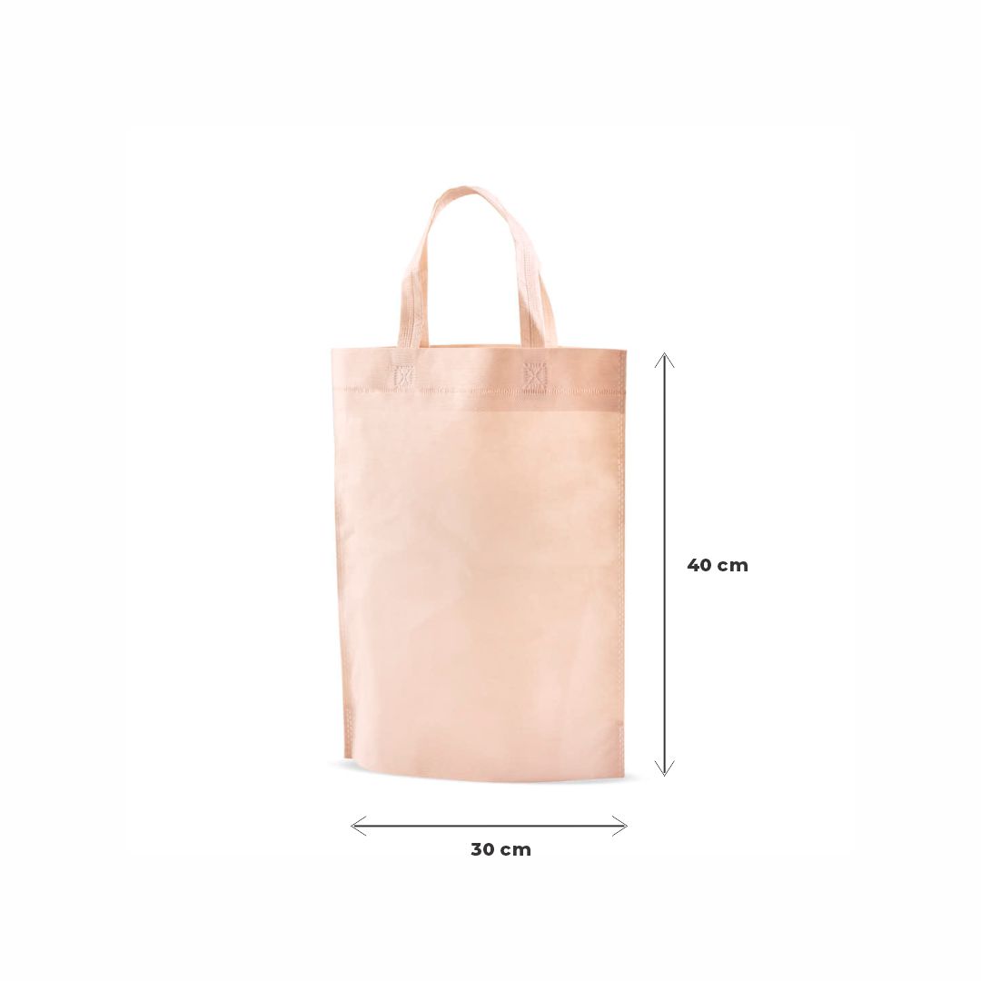 BOLSA FRISELINA LISA CON ASA 30*40CM LINO *UNID