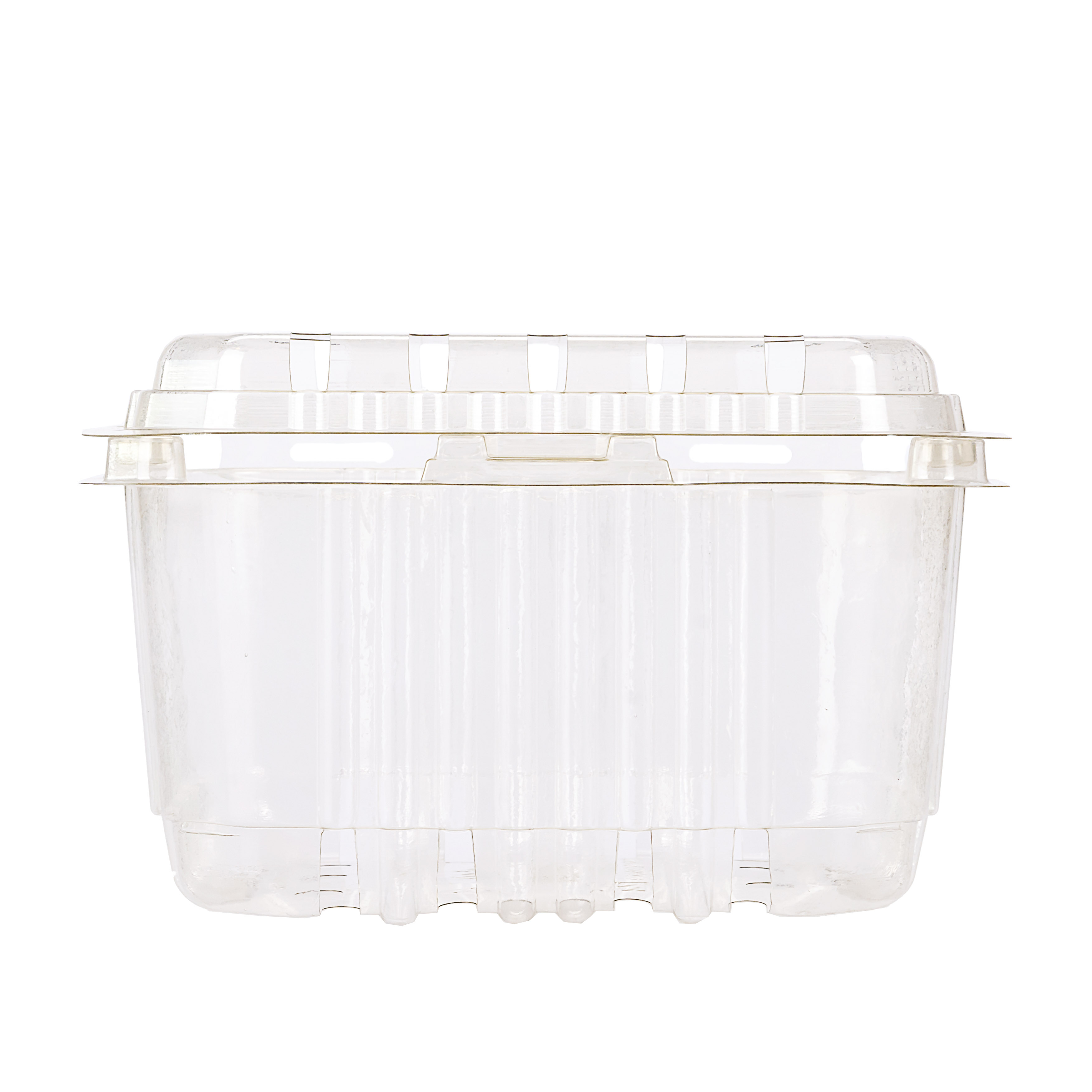 CUBETA FRUTIHORTICOLA CLAMSHELL.2000GRS PET PERF. (M5014BX) (19*19*13CM) *50 UNID.