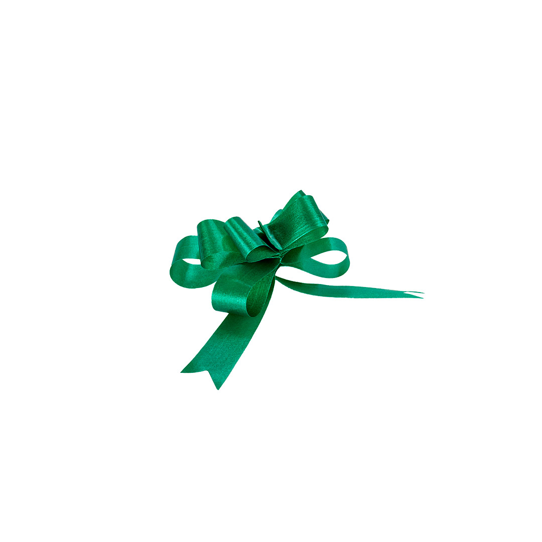 MOÑO RAPIDO MINI VERDE PINO LISO *100UNID