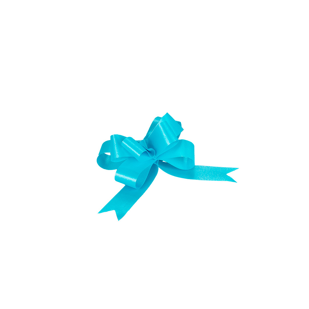 MOÑO RAPIDO MINI CELESTE LISO *100UNID