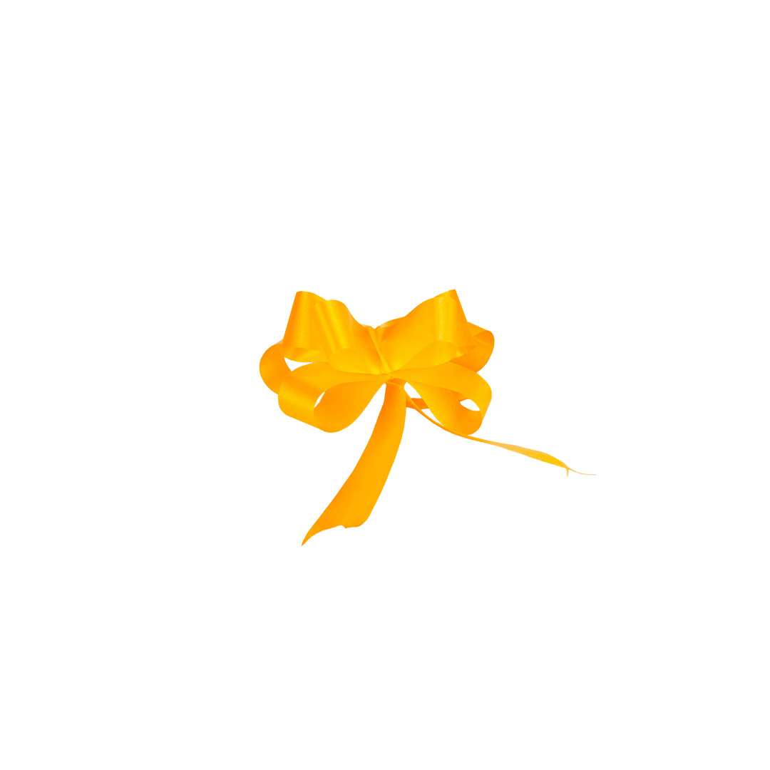 MOÑO RAPIDO MINI NARANJA LISO *100UNID