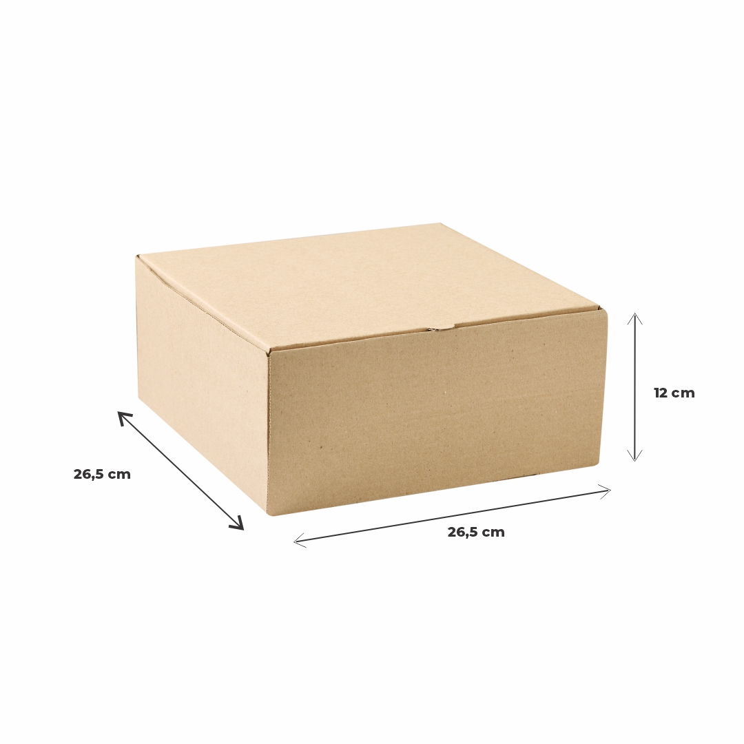 CAJA MICRO CARTON MARRON/MARRON (26.5*26.5*12CM) (ALPE) *100UNID.