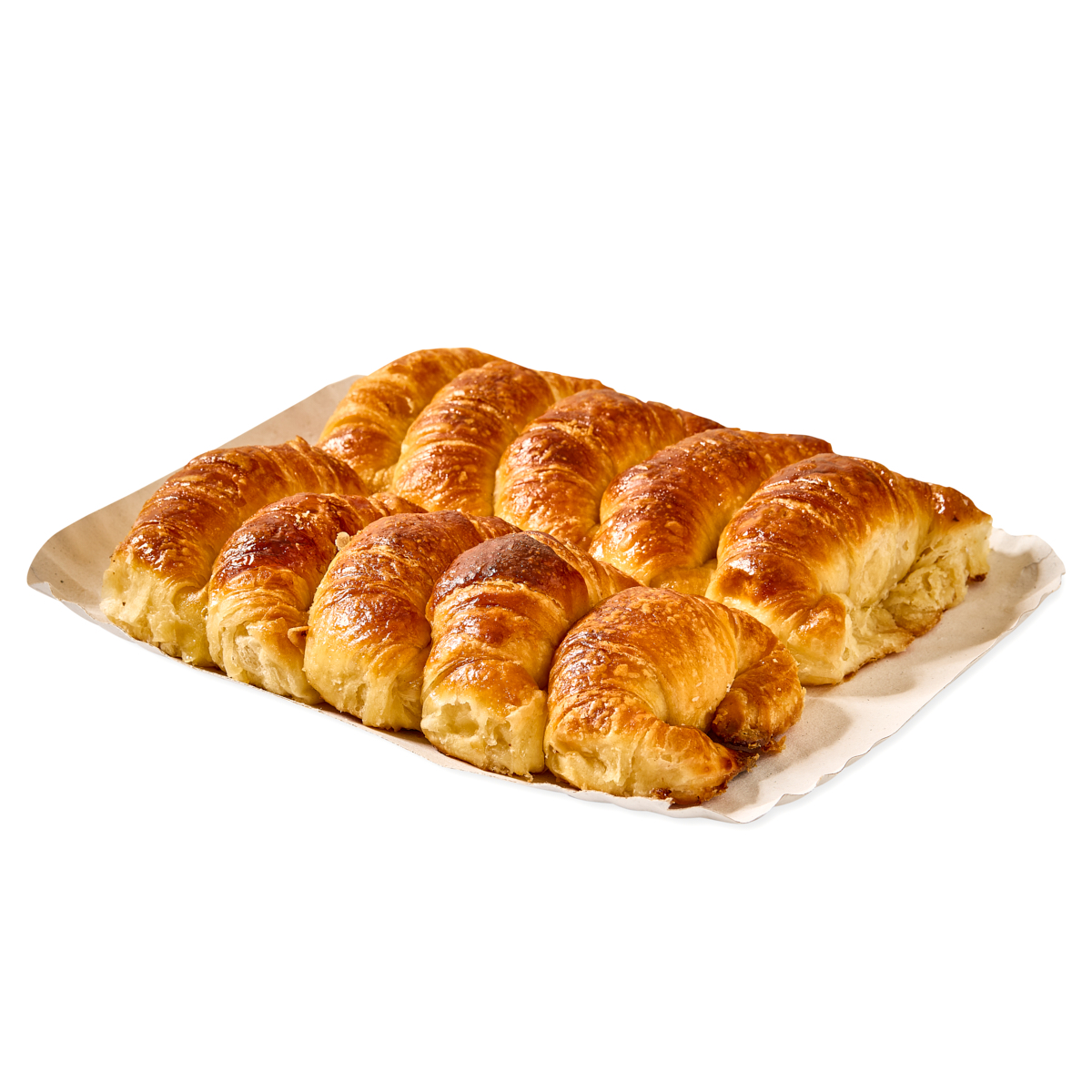 BANDEJA CARTON RECTANGULAR BLANCA LINEA VERDE Nº5 (21*26CM) *100UNID