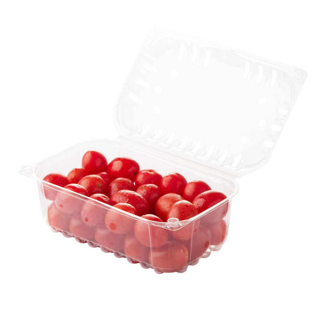 CUBETA FRUTIHORTICOLA CLAMSHELL 500GRS PET PERF. (M4380BX) (18*11*8CM) *100 UNID.