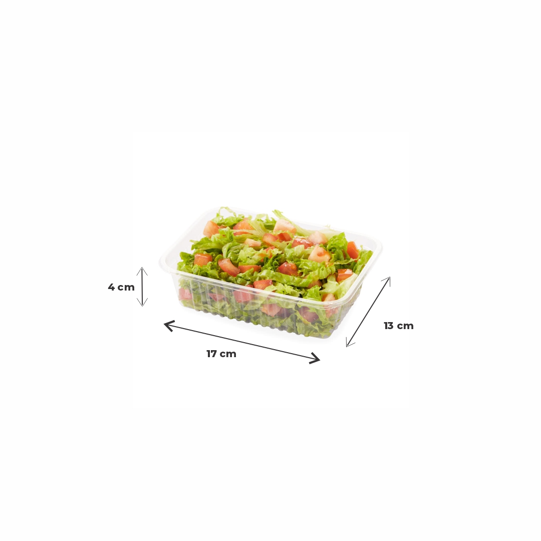 BANDEJA PET CRISTAL BANDEX Nº103 (13*17*4CM) (1055103) *100UNID