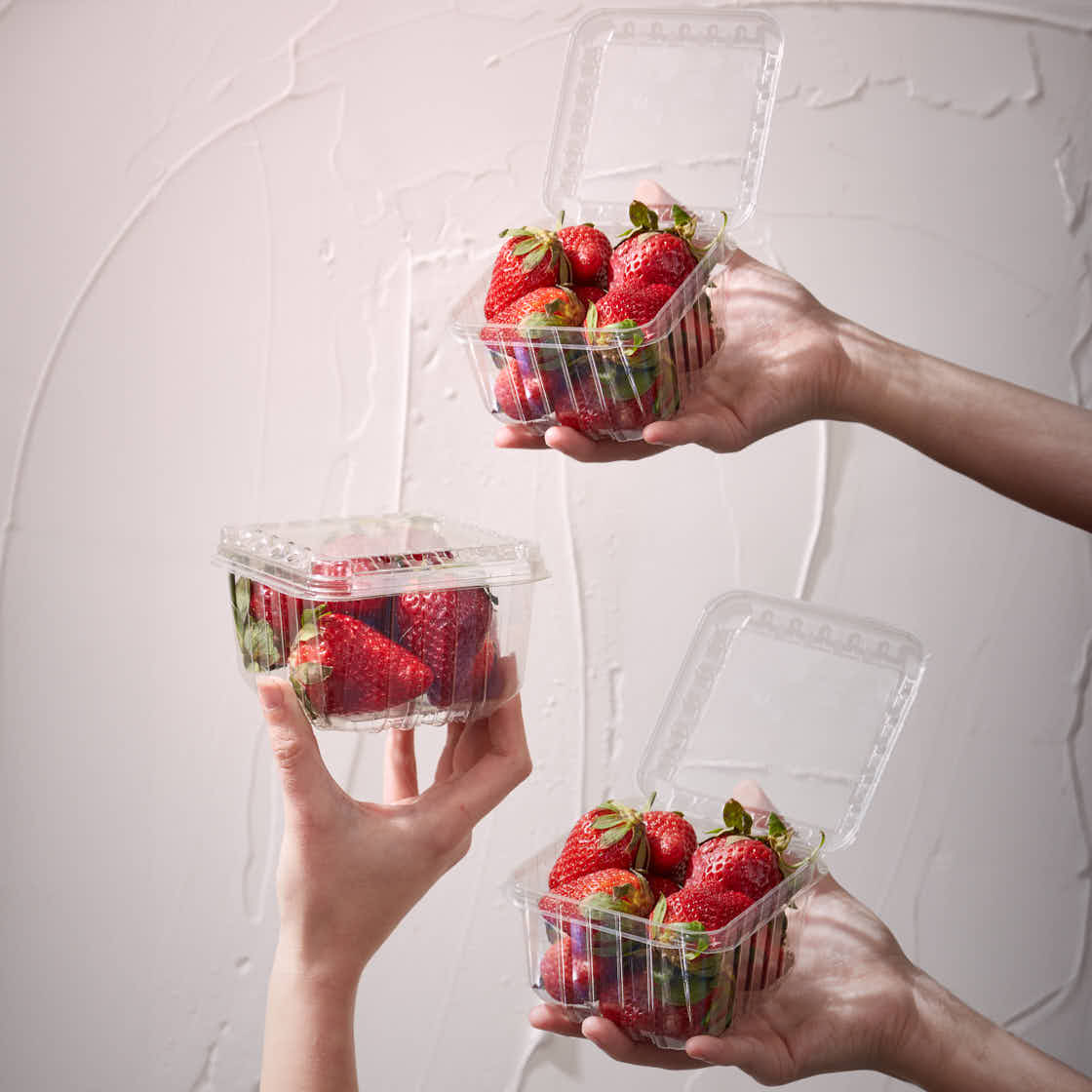 CUBETA FRUTIHORTICOLA CLAMSHELL 250GRS PET PERF. (M2971BX) (10*10*7CM) *100 UNID