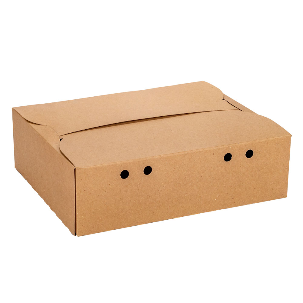 CAJA DELIVERY BIOHZ 2 COMBOS (25*20.5*7.5CM) *90UNID