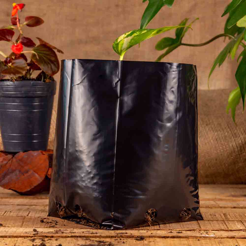 BOLSAS PLANTIN FERNANDEZ (BD - 70MIC - C/PERF - ARMADA 18X13X13) .3 LTS 25X25CM *100UNID