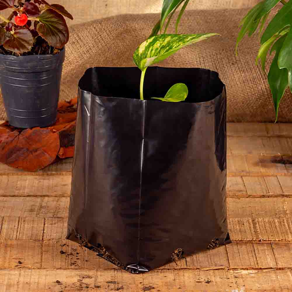 BOLSAS PLANTIN FERNANDEZ (BD - 70MIC - C/PERF - ARMADA 18X13X13) .3 LTS 25X25CM *100UNID