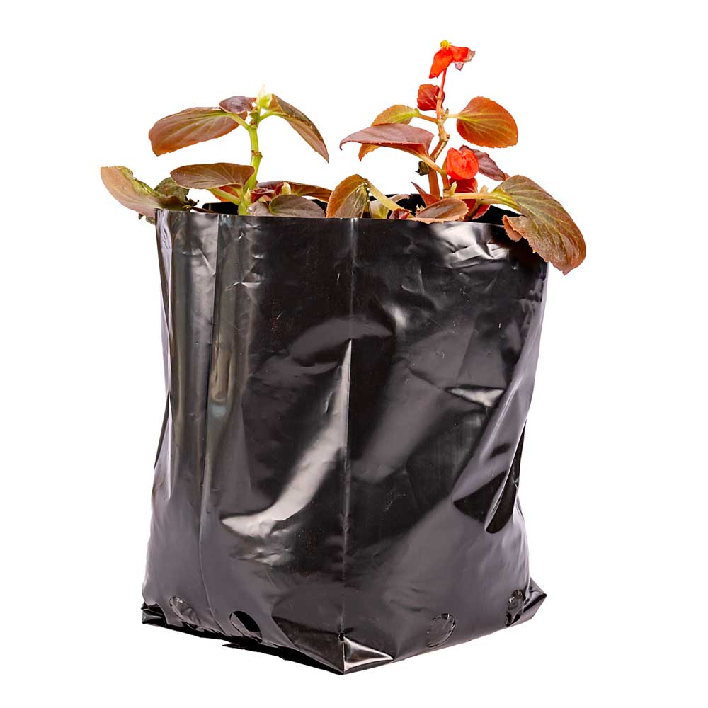 BOLSAS PLANTIN FERNANDEZ (BD - 70MIC - C/PERF - ARMADA 18X13X13) .3 LTS 25X25CM *100UNID