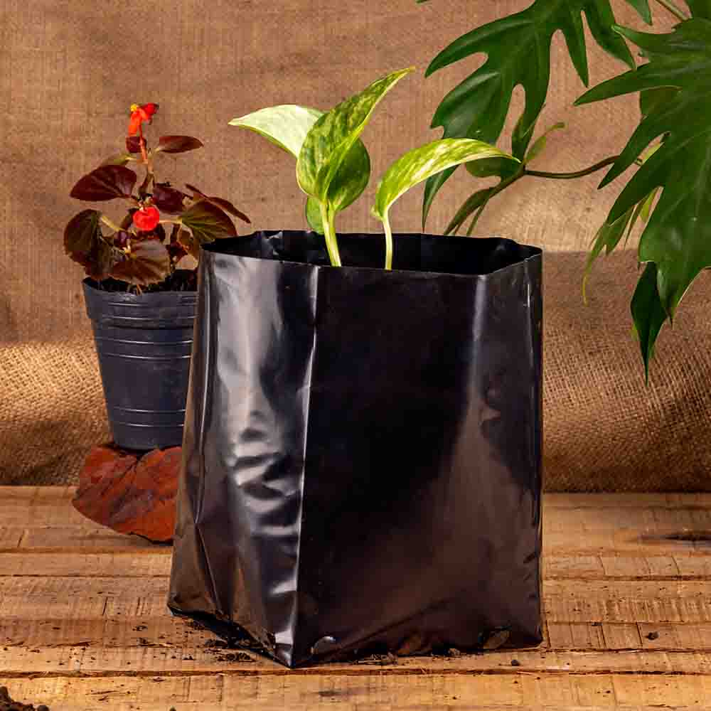 BOLSAS PLANTIN FERNANDEZ (BD - 90MIC - C/PERF - ARMADA 17X15X16) .4 LTS 30X26CM *50UNID