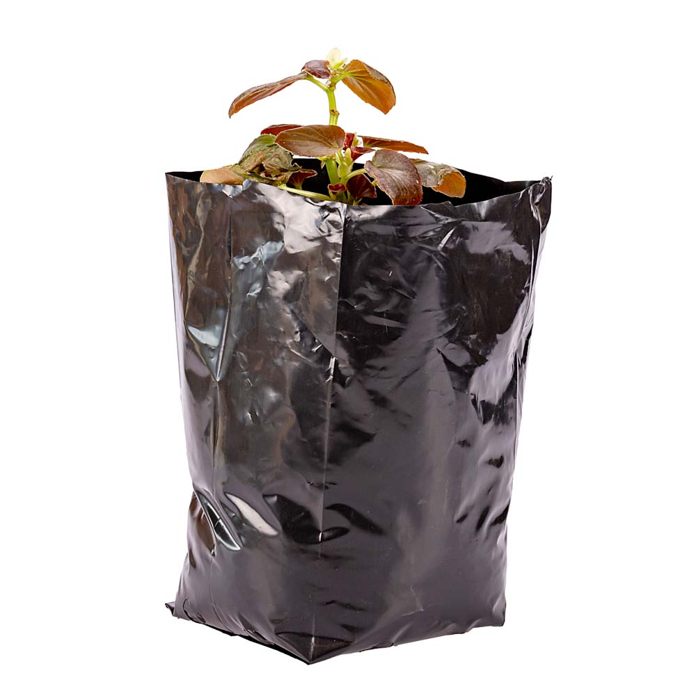 BOLSAS PLANTIN FERNANDEZ (BD - 90MIC - C/PERF - ARMADA 17X15X16) .4 LTS 30X26CM *50UNID