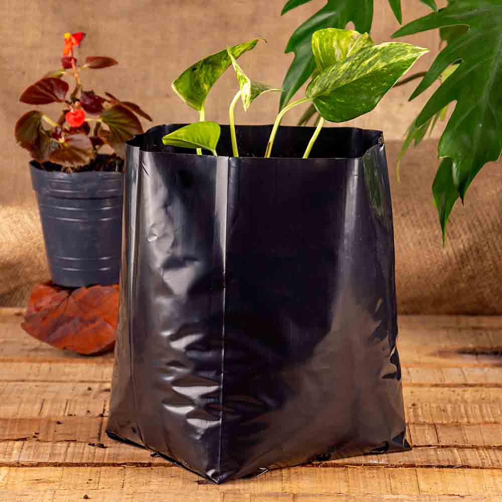 BOLSAS PLANTIN FERNANDEZ (BD - 90MIC - C/PERF - ARMADA 21X15X16) .5 LTS 30X30CM *50UNID