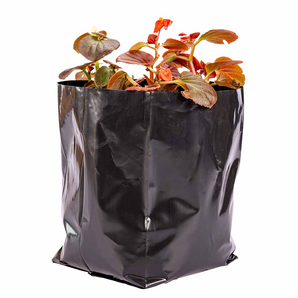 BOLSAS PLANTIN FERNANDEZ (BD - 90MIC - C/PERF - ARMADA 21X15X16) .5 LTS 30X30CM *50UNID