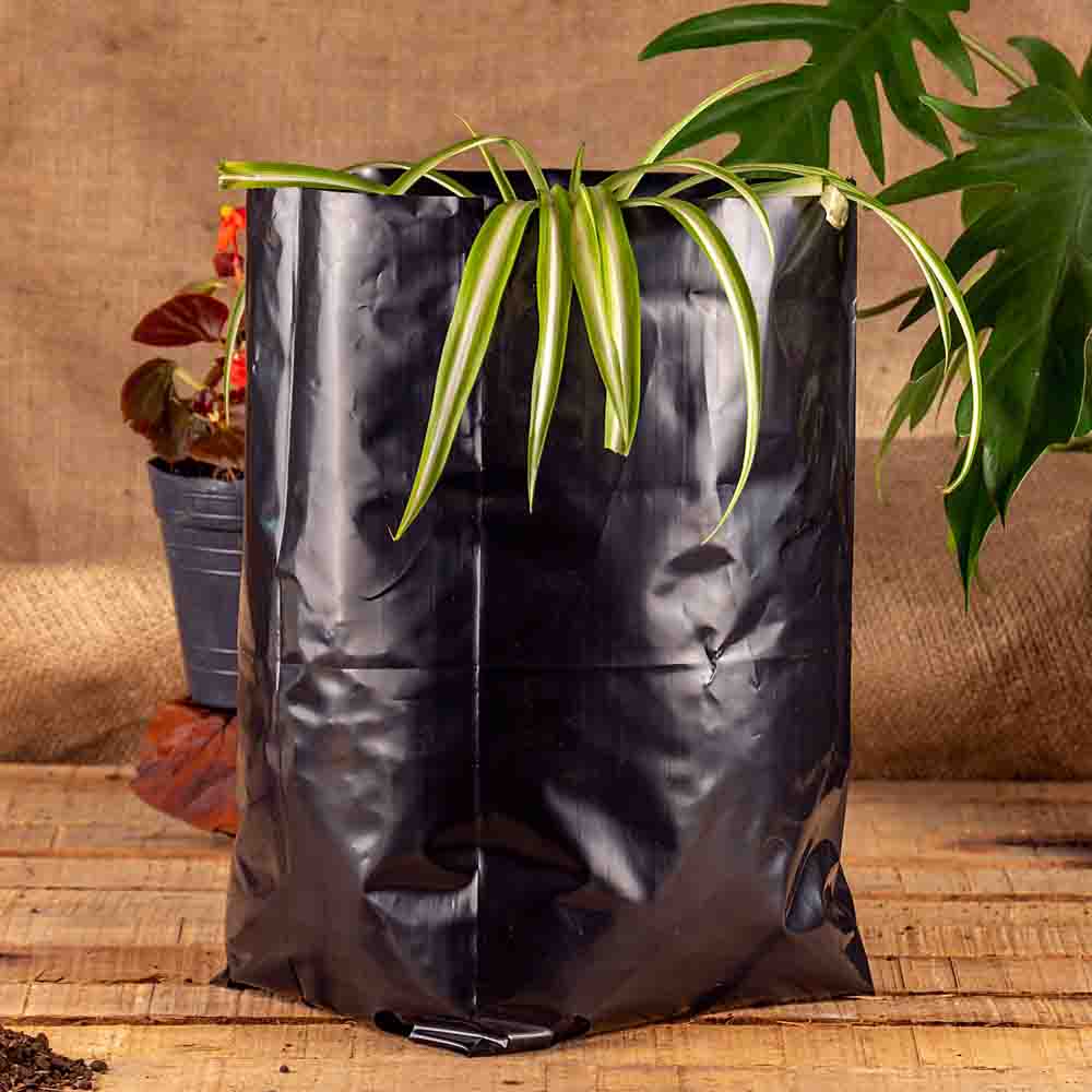 BOLSAS PLANTIN FERNANDEZ (BD - 90MIC - C/PERF - ARMADA 25X19X17) .8 LTS 35X36CM *50UNID