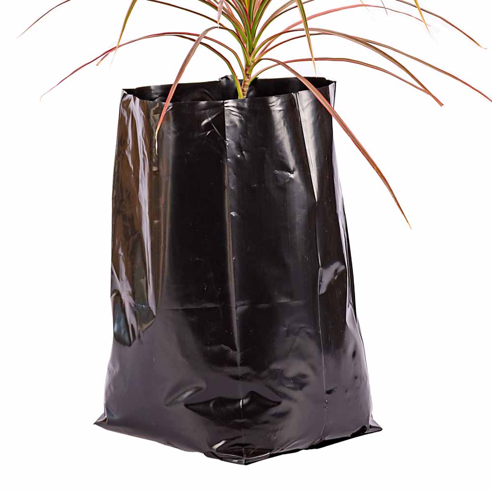 BOLSAS PLANTIN FERNANDEZ (BD - 90MIC - C/PERF - ARMADA 31X19X17) 10 LTS 35X42CM *50UNID