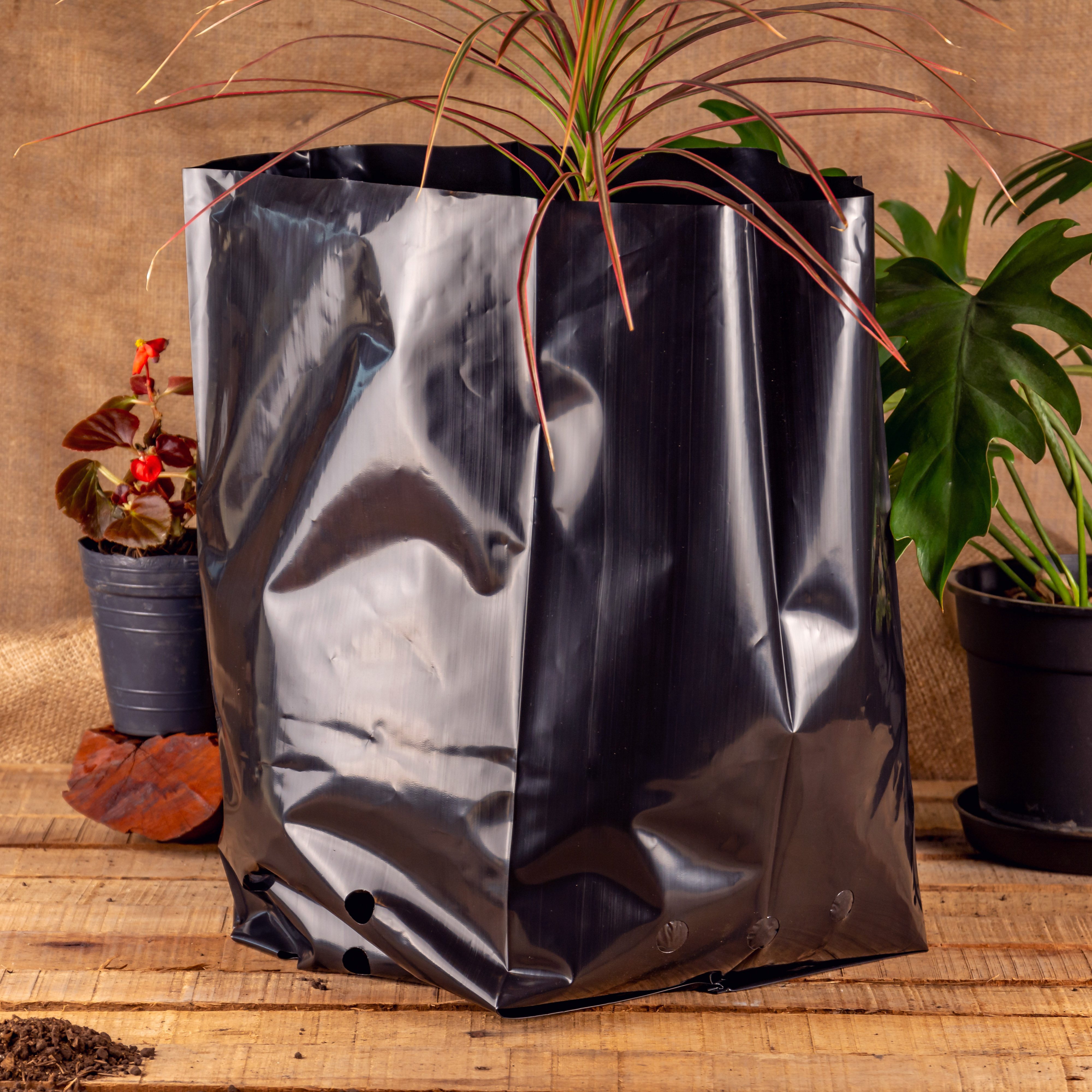 BOLSAS PLANTIN FERNANDEZ (BD - 100MIC - C/PERF - ARMADA 36X25X22) 20 LTS 50X50CM *25UNID