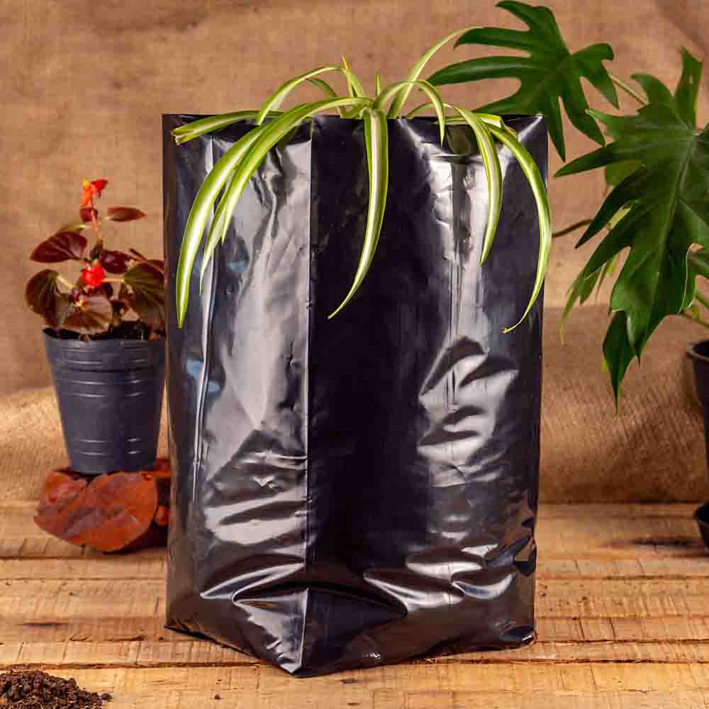 BOLSAS PLANTIN FERNANDEZ (BD - 100MIC - C/PERF - ARMADA 35X20X20) 14 LTS 40X48CM *25UNID