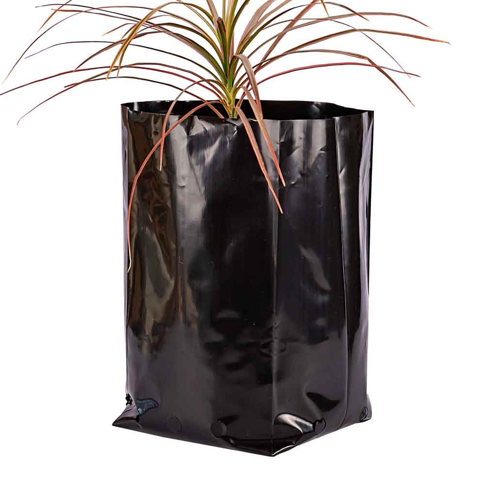 BOLSAS PLANTIN FERNANDEZ (BD - 100MIC - C/PERF - ARMADA 35X20X20) 14 LTS 40X48CM *25UNID