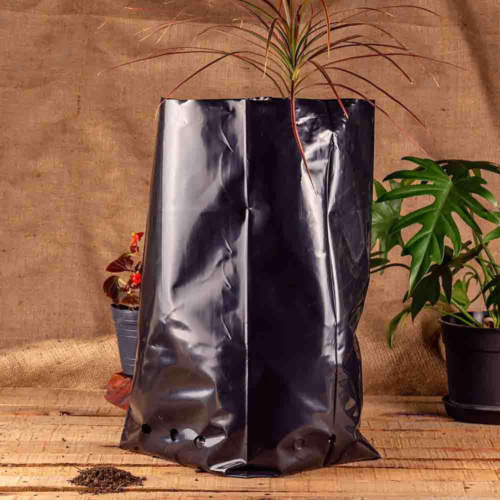 BOLSAS PLANTIN FERNANDEZ (BD - 100MIC - C/PERF - ARMADA 45X25X25) 25 LTS 50X59CM *25UNID