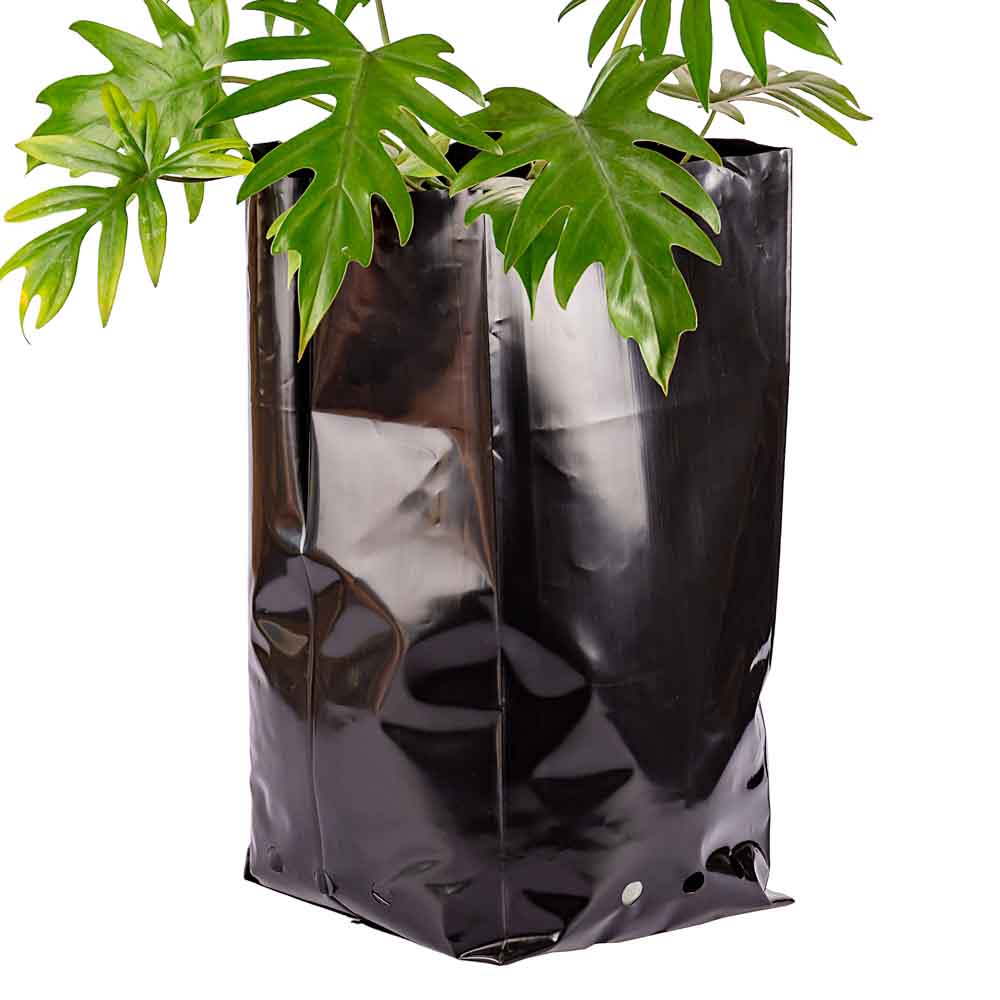 BOLSAS PLANTIN FERNANDEZ (BD - 100MIC - C/PERF - ARMADA 45X25X25) 25 LTS 50X59CM *25UNID