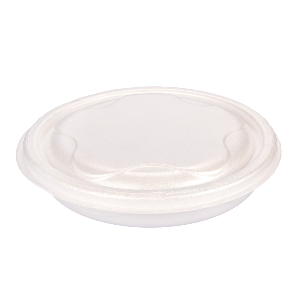 PLATOS TERMICOS DARNEL 500CC CON TAPA (R100) *100UNID