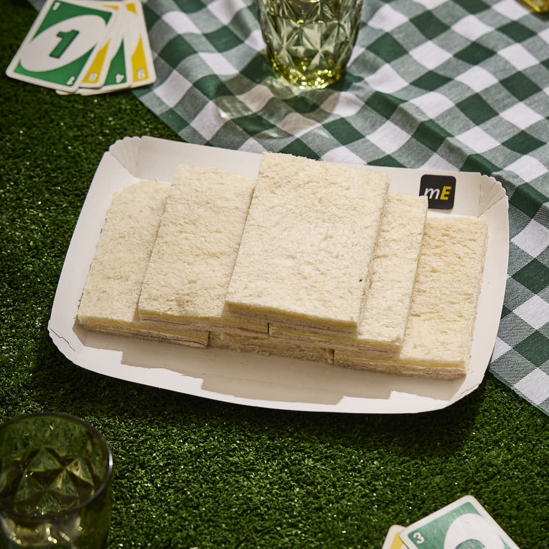 BANDEJA CARTON RECTANGULAR CARTULINA Nº6 (22*29*2.2CM) BIOHZ *600UNID