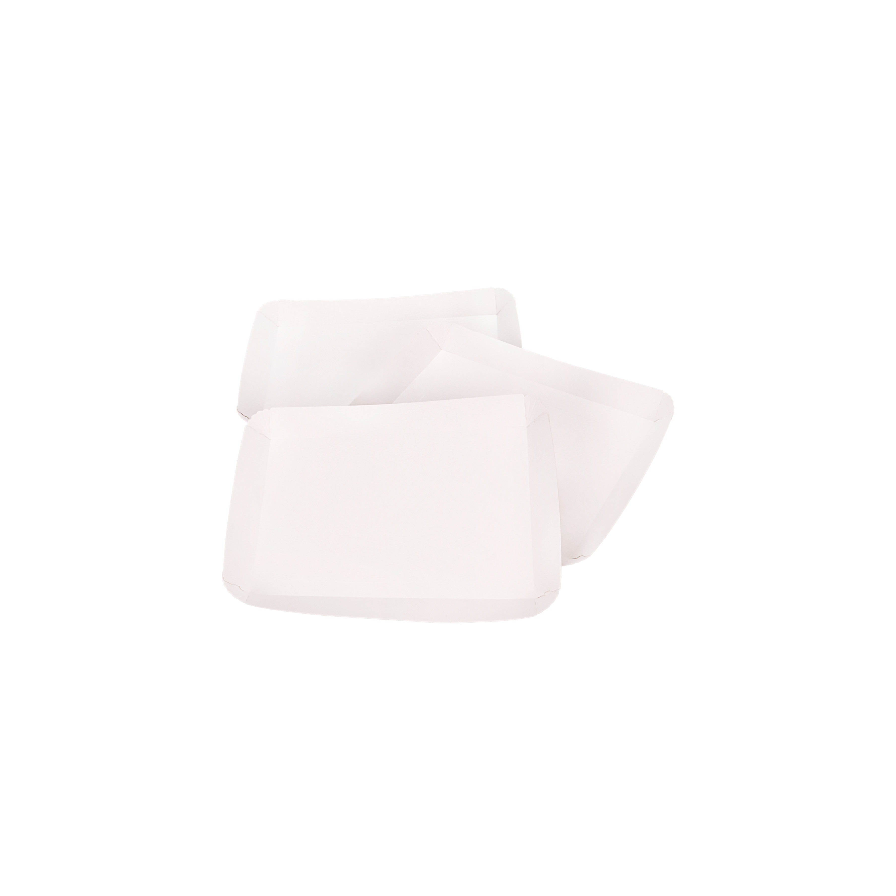 BANDEJA CARTON RECTANGULAR CARTULINA Nº6 (22*29*2.2CM) BIOHZ *600UNID