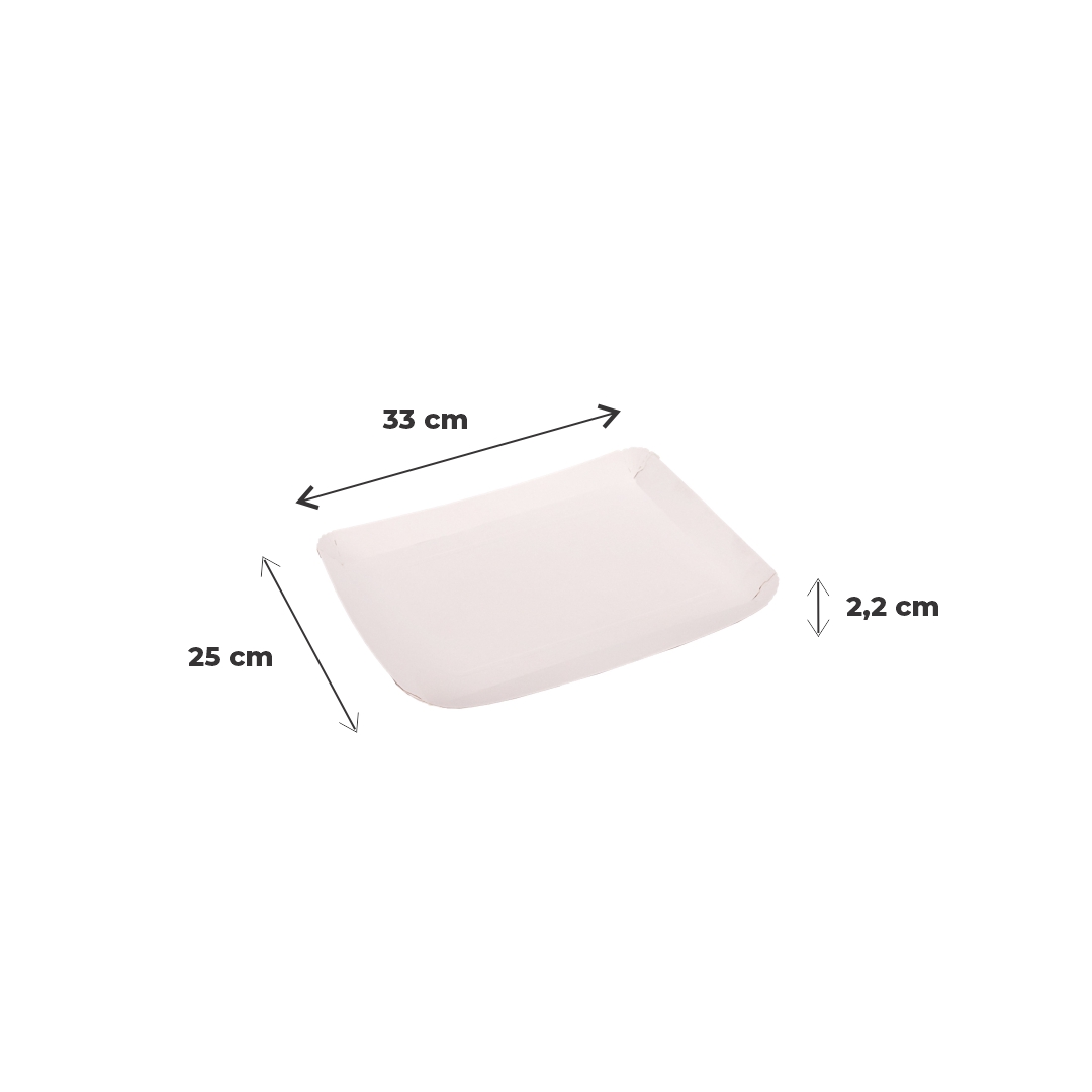 BANDEJA CARTON RECTANGULAR CARTULINA Nº7 (25*33*2.2CM) BIOHZ *200UNID