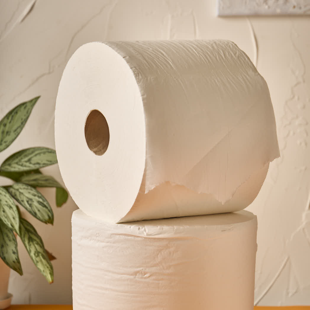 PAPEL TISSUE (24CM*400MTS) ELEGANTE BLANCO DOBLE HOJA (800MTS) *2 ROLLOS