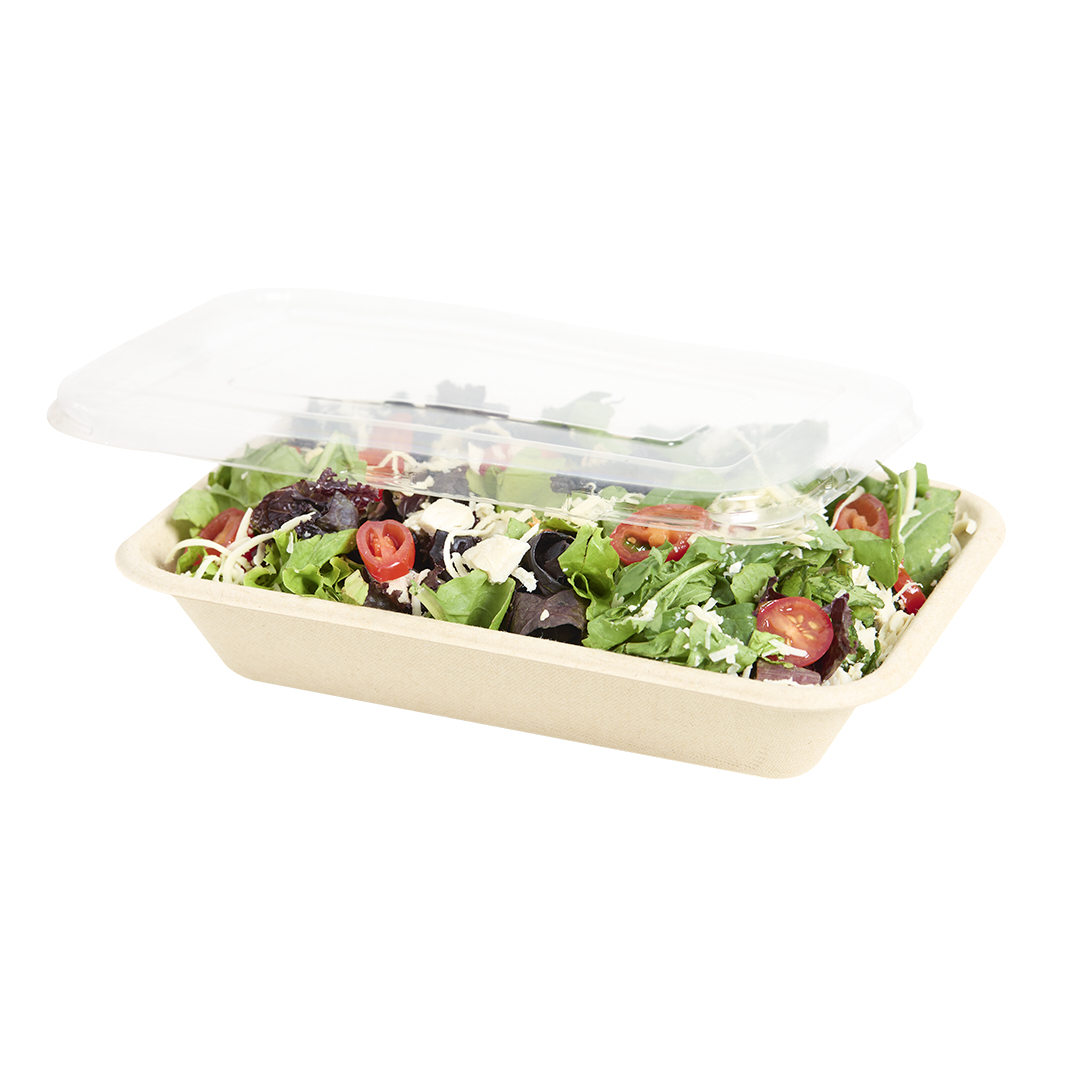 BANDEJA BAGAZO DE CAÑA BIO RECT. 103L (24OZ) BEIGE (14*4.5*22CM) *50UNID.