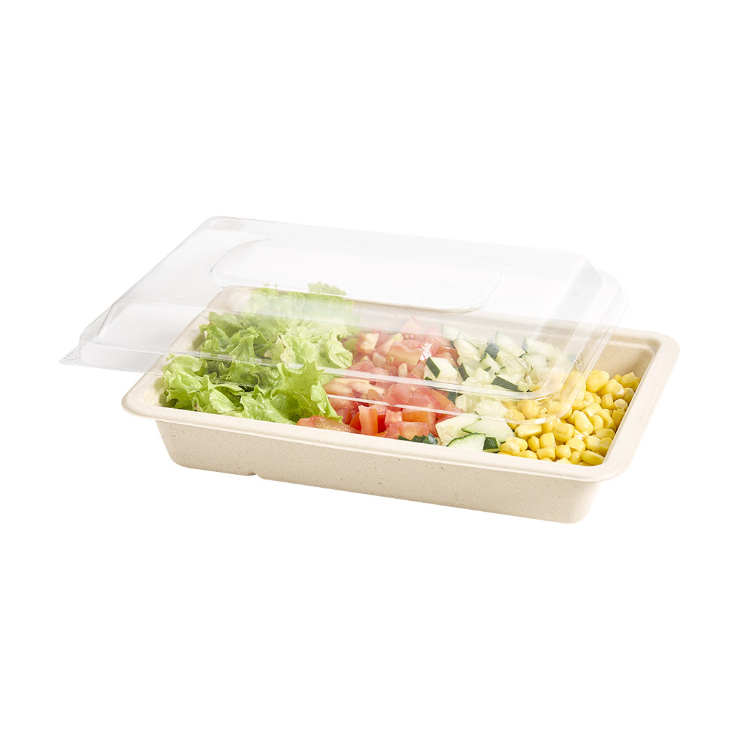 BANDEJA BAGAZO DE CAÑA BANDEX RECT.105 BEIGE 1200CC (17*25*4CM) *100UNID