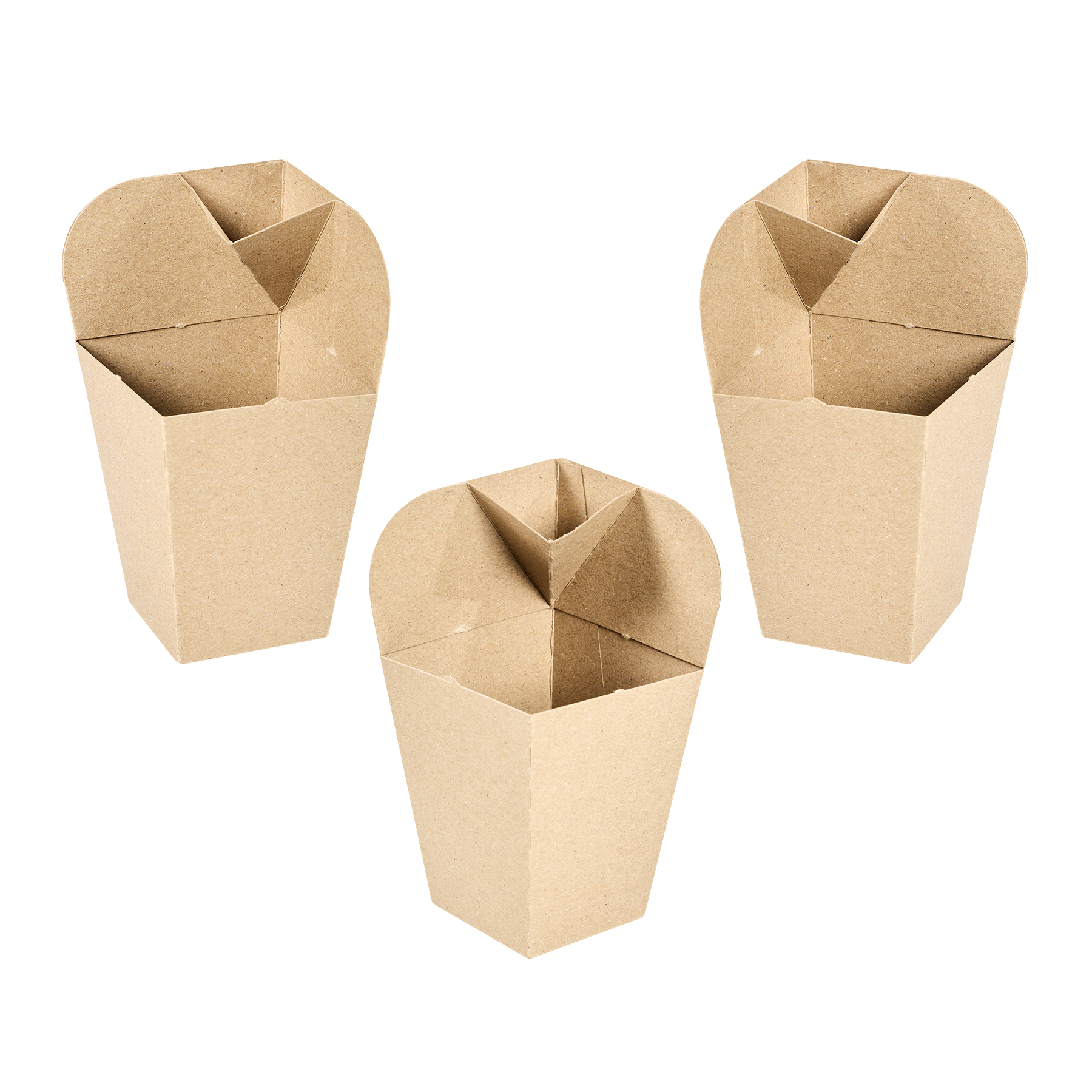 CAJA DELIVERY BIOHZ PAPAS FRITAS CONTENEDOR KRAFT C/DIPPER (15*7.5*9.5CM) *375UNID