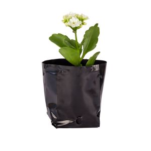 BOLSAS PLANTIN mE (BD - 70MIC - C/PERF - ARMADA 6X7X8,5) .0.35 LTS 12X12CM *100UNID