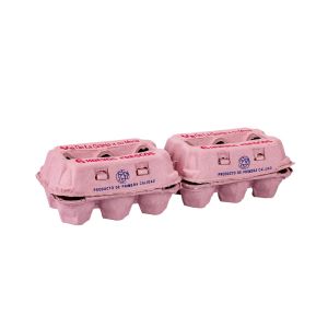 ESTUCHE PARA HUEVOS (2 CAJAS PARA 6 HUEVOS) (306) CARTON *120UNID