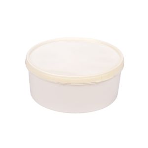 POTE HELADO PLASTICO .3LTS CON TAPA *UNID