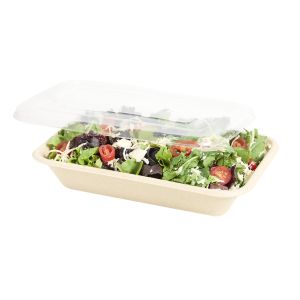 BANDEJA BAGAZO DE CAÑA BIO RECT. 103L (24OZ) BEIGE (14*4.5*22CM) *50UNID.
